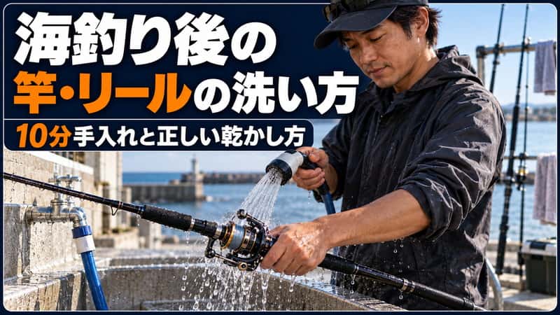 海釣り後の竿とリールを洗って陰干しへ置くまでの10分手入れ 