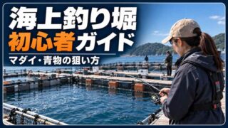 海上釣り堀初心者ガイド｜予約前の確認・マダイ青物の狙い方・釣れない時の調整手順 