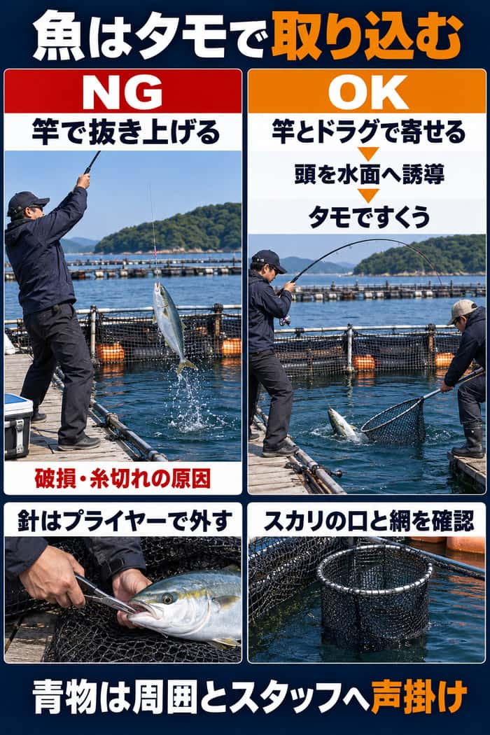 魚を竿で抜き上げるNG例と、竿とドラグで寄せて頭を水面へ誘導し、タモですくうOK例を比較する。